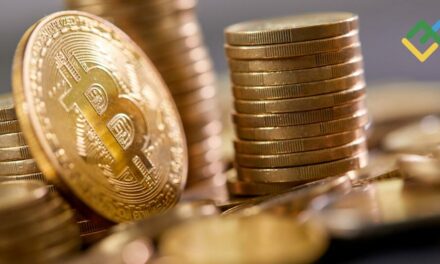 Bull Run in Crypto: When Will it End and When Will the Next One Start?