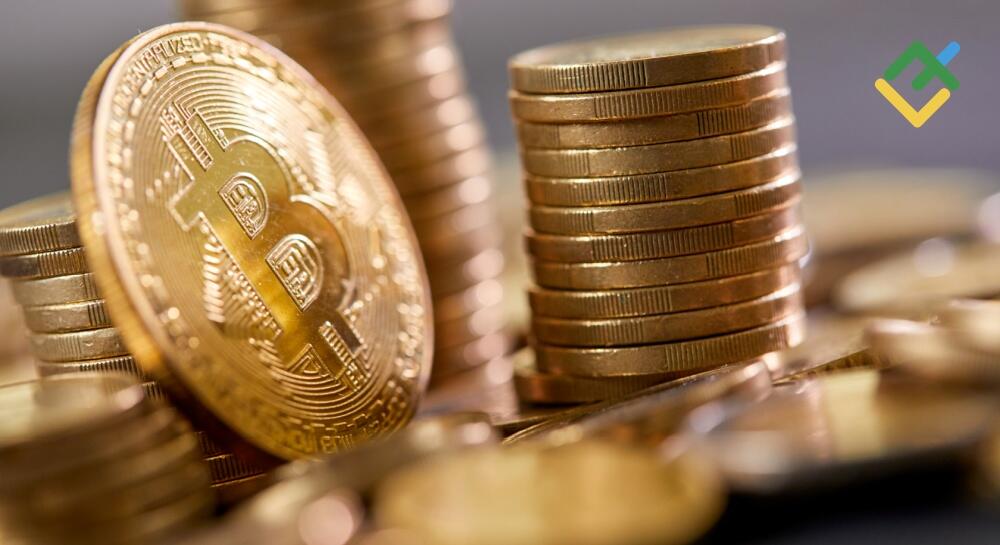 Bull Run in Crypto: When Will it End and When Will the Next One Start?