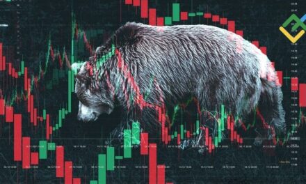 What Is a Crypto Bear Market: How to Identify It and Profit?