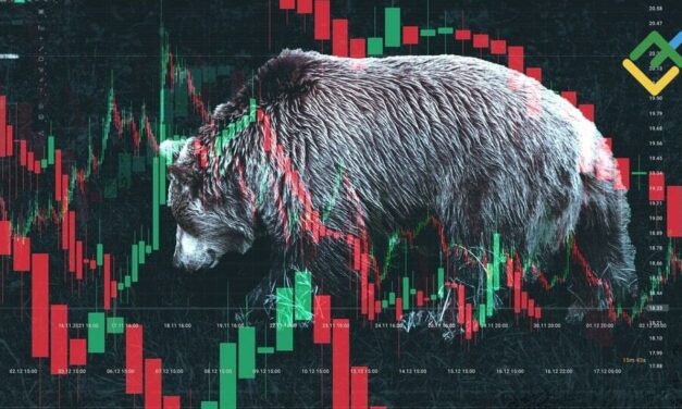 What Is a Crypto Bear Market: How to Identify It and Profit?