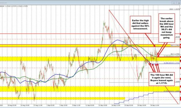 Whoops, it did it again. The EURUSD bounces again off the 100 hour MA.