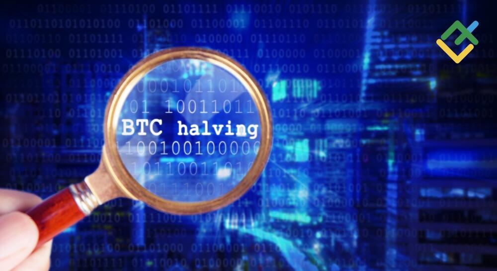 Bitcoin May Wipe Out Its Yearly Gains. Forecast as of 19.11.2025